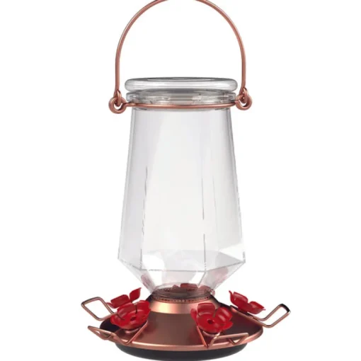 Perky-Pet Hummingbird 16 oz. Glass Nectar Feeder 4 ports (Pack of 2)