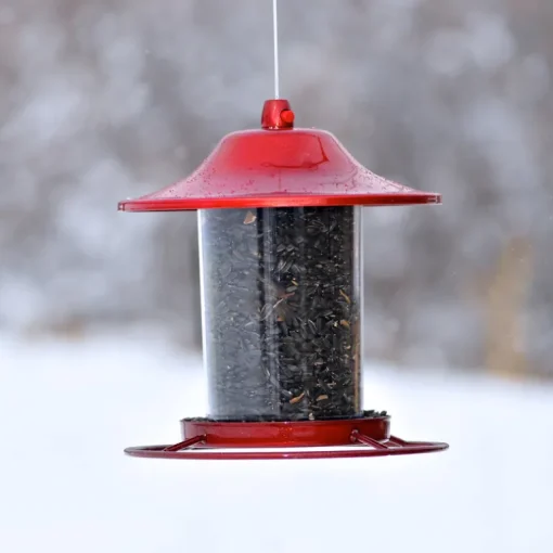 Perky-Pet Wild Bird 2 lb Metal/Plastic Panorama Bird Feeder 1 ports