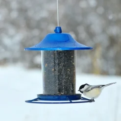Perky-Pet Wild Bird 2 lb Metal/Plastic Panorama Bird Feeder 1 ports
