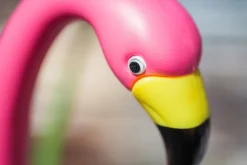 2-Pk. Pink Flamingos