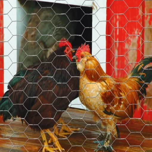 POULTRY NETTING 12"X50'