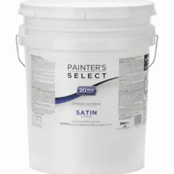PS 5G Tint SAT Paint