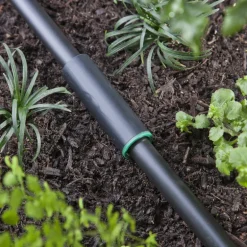 Raindrip 1/2 in. Drip Irrigation Coupler 1 pk