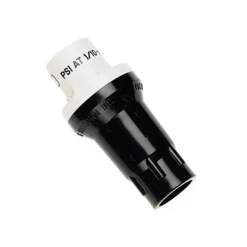 Raindrip 3/4 in. Threaded Drip Irrigation Pressure Regulator 1 pk