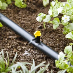 Raindrip Spot Drip Irrigation Dripper 4 gph 10 pk