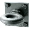Reese Towpower 42000 lb. cap. Lunette Ring