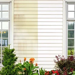 Rejuvenate Outdoor Cleaner Concentrate 32 oz. Liquid (Pack of 6)