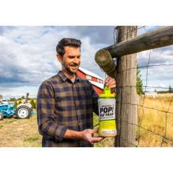 Rescue POP Fly Trap 1.45 oz. for Flies/Gnats Pest