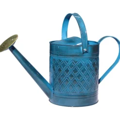 Robert Allen Mountain Waves 2 gal Metal Wexley Watering Can