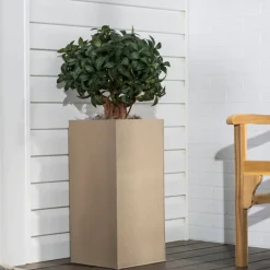 Rust-Oleum Desert Bisque Textured Spray Paint 4 to 8 sq. ft. Coverage, 12 oz. (Pack of 6)