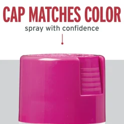 Rust-Oleum Stops Rust Gloss Poppy Pink Enamel Spray Paint 12 oz (Pack of 6)