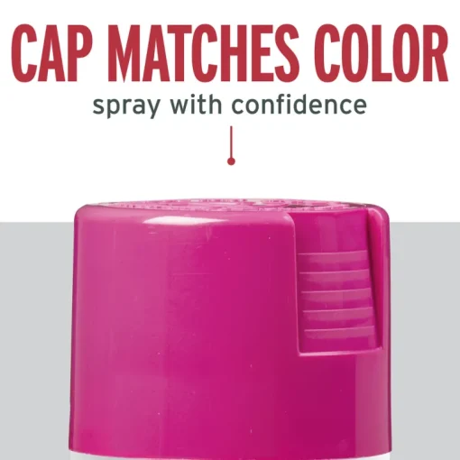 Rust-Oleum Stops Rust Gloss Poppy Pink Enamel Spray Paint 12 oz (Pack of 6)