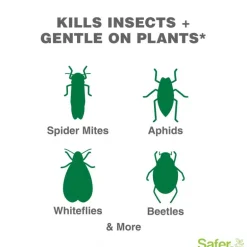 Safer Brand Organic Insect Control Liquid 24 oz