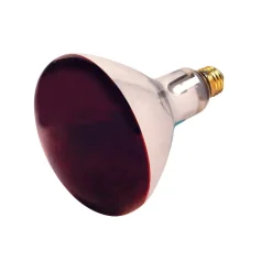 Satco 250 watt R40 Heat Lamp Incandescent Bulb E26 (Medium) Red 1 pk (Pack of 12)