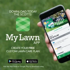 Scotts Turf Builder Thick'R Lawn All-Purpose Lawn Fertilizer For Sun/Shade Mix 1200 sq ft