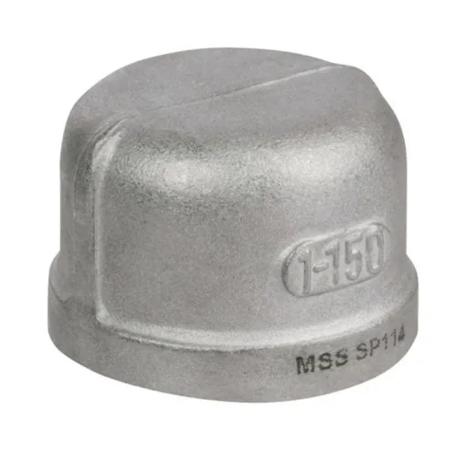 Smith-Cooper 2 in. FPT Stainless Steel Cap