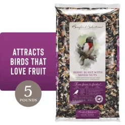 Songbird Selections Berry Burst with Mixed Nuts Wild Bird Seed Wild Bird Food 5 lb