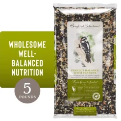 Songbird Selections Perfect Balance Wild Bird Sunflower Seeds and Peanuts Wild Bird Food 5 lb