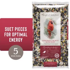 Songbird Selections Songbird Crunch Wild Bird Seed Wild Bird Food 5 lb