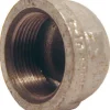 STZ Industries 2 in. FIP each Galvanized Malleable Iron Cap