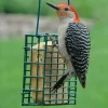 Suet Cage Feeder