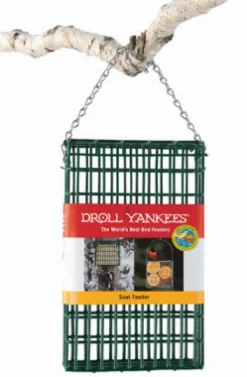 SUET FEEDR DOUBLE GREEN