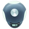 Taylor Silver Digital Food Scale 11 lb