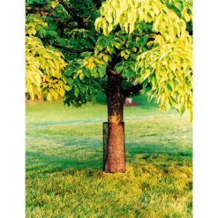 Tenax Black Polyethylene UV Stabilized Hardware Net 3 H x 15 L ft. Roll