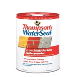 Thompson's Waterseal Clear Low VOC Water-Based Multi-Surface Waterproofer 5 gal.