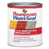 Thompson's Waterseal Clear Water-Based Multi-Surface Waterproofer 1 qt.