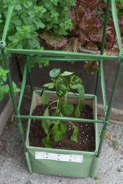 TOMATO/PEPPER BAGZ STAKE