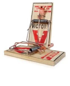 Victor Snap Trap For Mice 2 pk (Pack of 36)