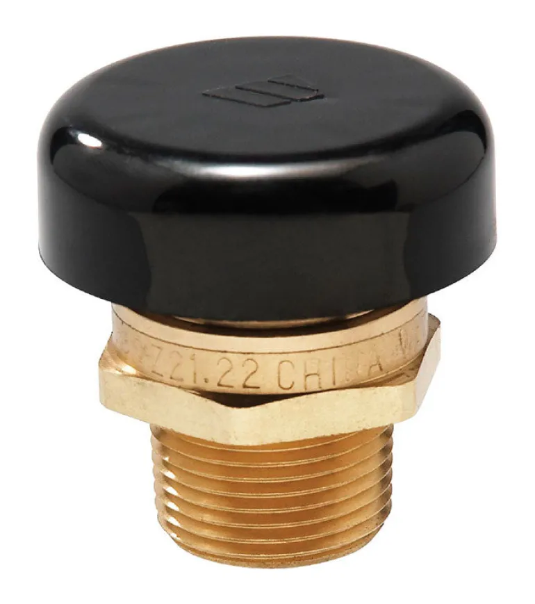 Watts 1/2 in. MIP MIP Brass Vacuum Release Valve