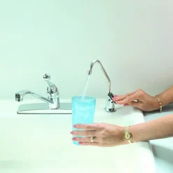 Watts One Handle Chrome Drinking Water Faucet