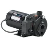 Wayne 3/4 HP 7.7 gph Cast Iron Convertible Jet Well Pump