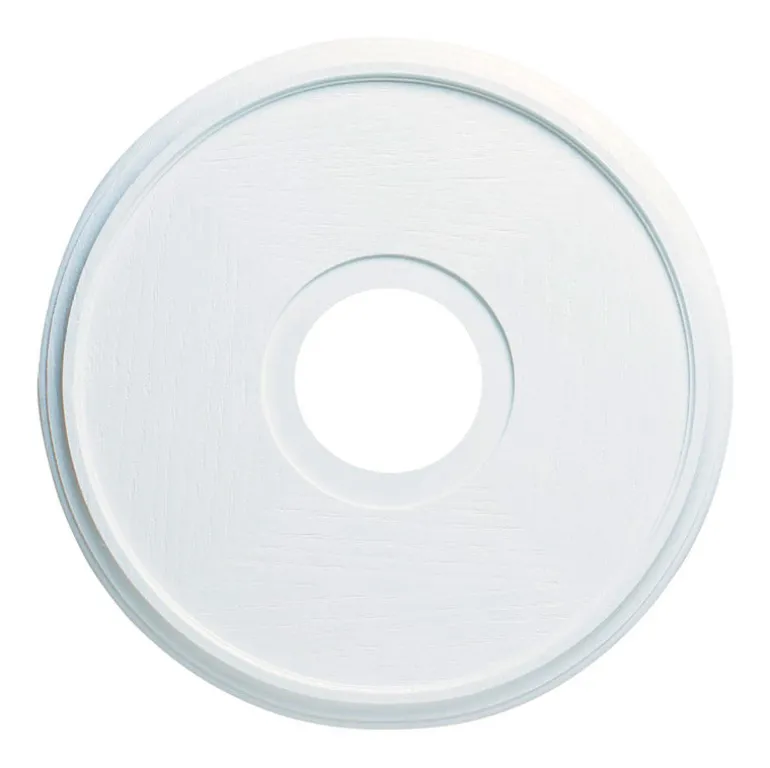 Westinghouse 16 in. D White Ceiling Medallion