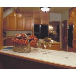 Westinghouse 13 in. W X 13 in. L Ceiling Light