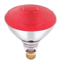Westinghouse 100 W E26 Reflector Incandescent Bulb E26 (Medium) Red 1 pk