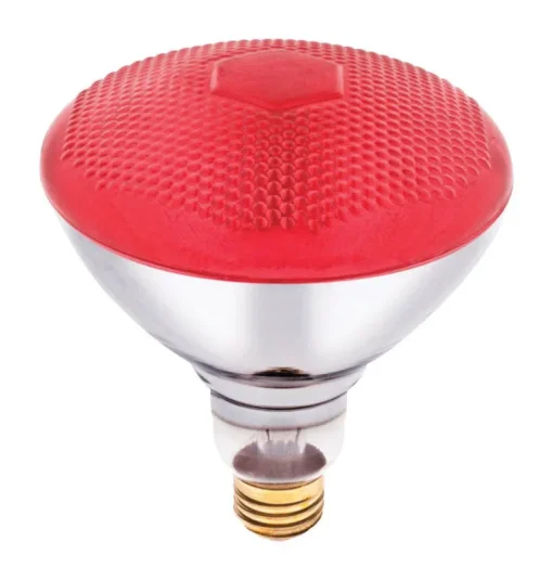Westinghouse 100 W E26 Reflector Incandescent Bulb E26 (Medium) Red 1 pk