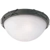 Westinghouse Claremont Switch Incandescent Rustic White Outdoor Light Fixture Hardwired
