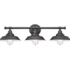 Westinghouse 3-Light Oil Rubbed Bronze Wall Sconce