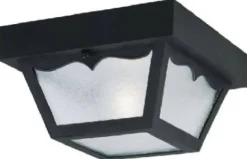 Westinghouse Matte Black Switch Incandescent Light Fixture