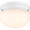 Westinghouse Polished Switch LED Light Fixture