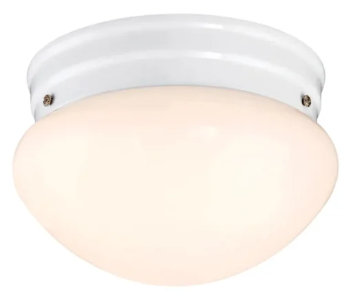 Westinghouse Polished Switch LED Light Fixture