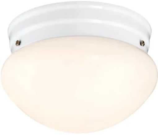 Westinghouse Polished Switch LED Light Fixture