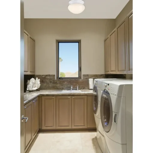 Westinghouse Polished Switch LED Light Fixture