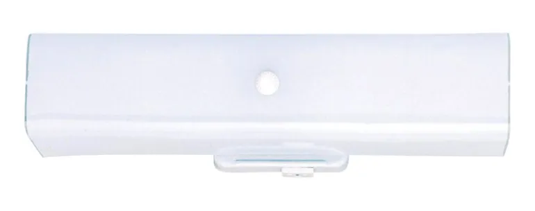 Westinghouse White 2 lights Incandescent Bathroom Channel Fixture Wall Mount