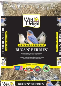 Wild Delight Bugs N' Berries Assorted Species Safflower Seeds Wild Bird Food 4.5 lb