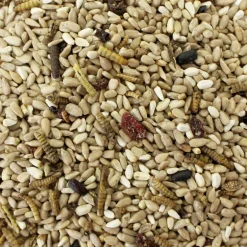 Wild Delight Bugs N' Berries Assorted Species Safflower Seeds Wild Bird Food 4.5 lb
